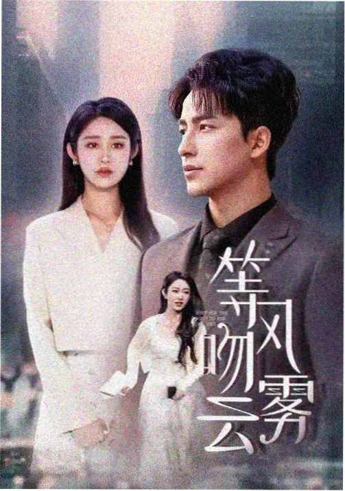 边境风云 - 亚洲国产精品系列警匪剧